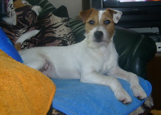 Hugo Kopf 27.06.2005 Hugo Kopf 27.06.2005